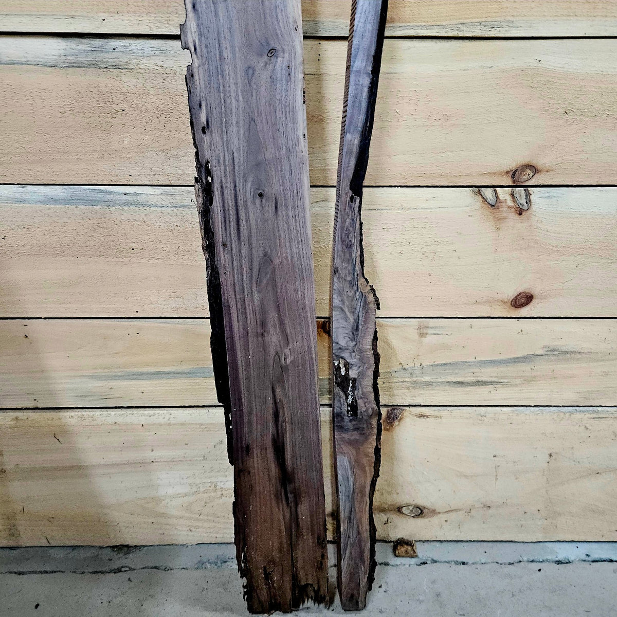 Walnut DIY bundle 2023-1 back lower detail