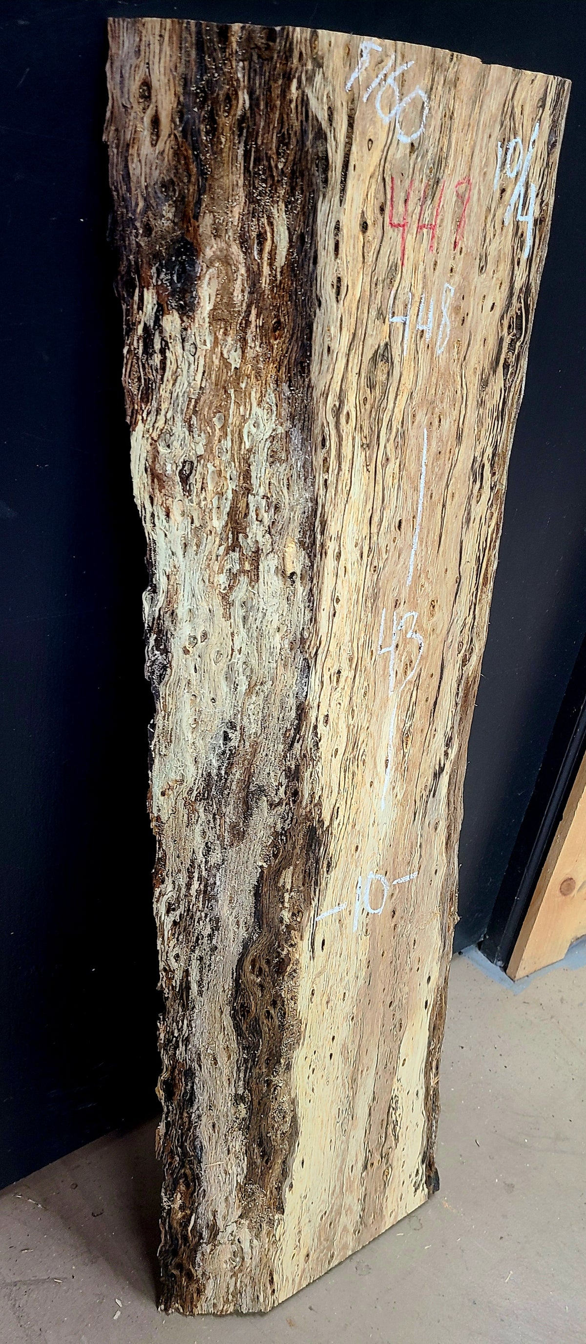 White Oak live edge slab #448, view 3