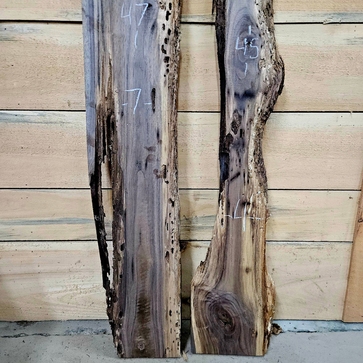 Walnut DIY bundle 2024-1, bug holes and natural detail 1