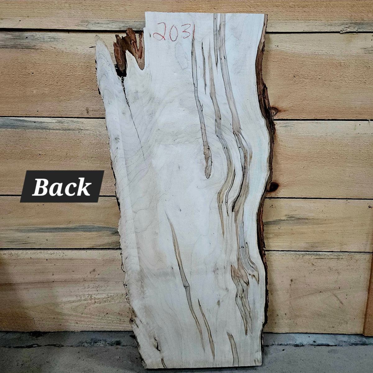 Curly ambrosia maple slab #2031 back