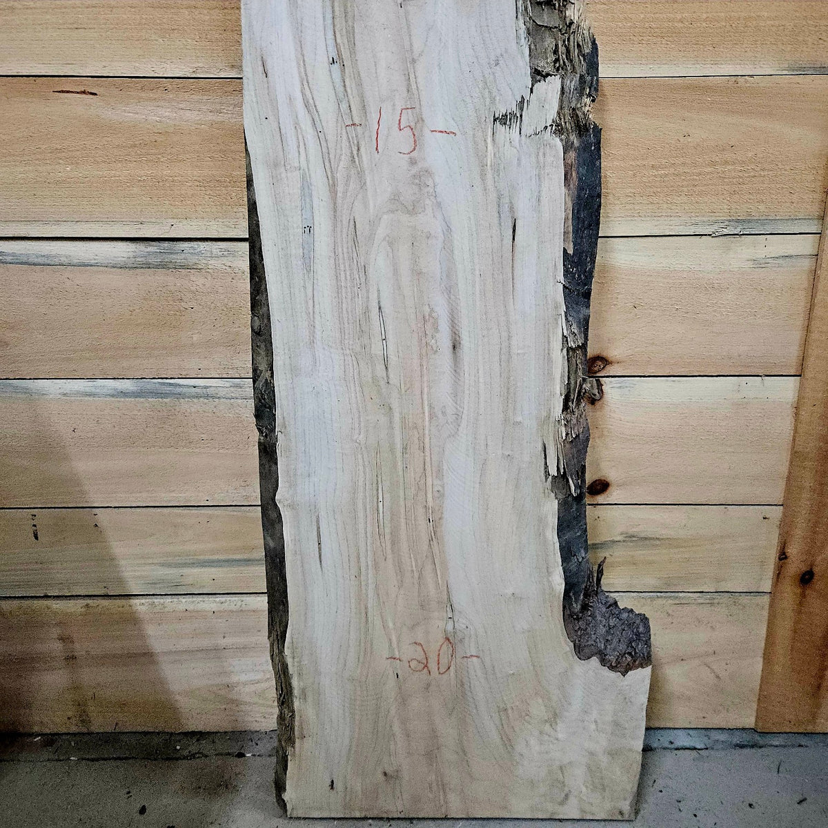 Ambrosia maple slab 2052-1 photo 3