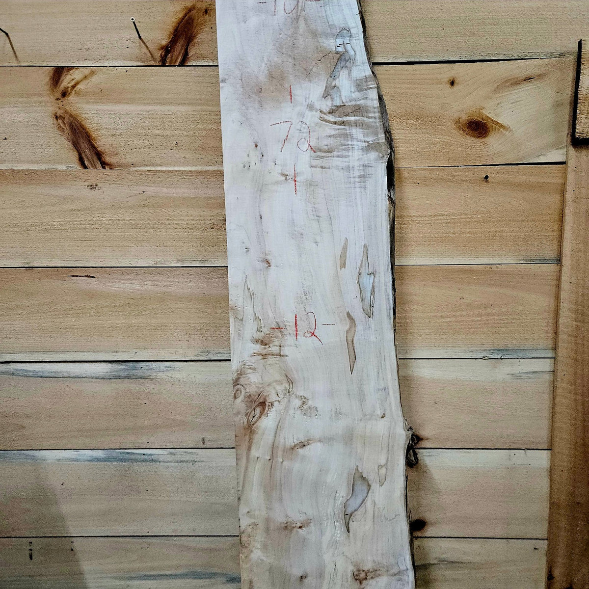 Spalted curly ambrosia maple slab 2055 photo 3