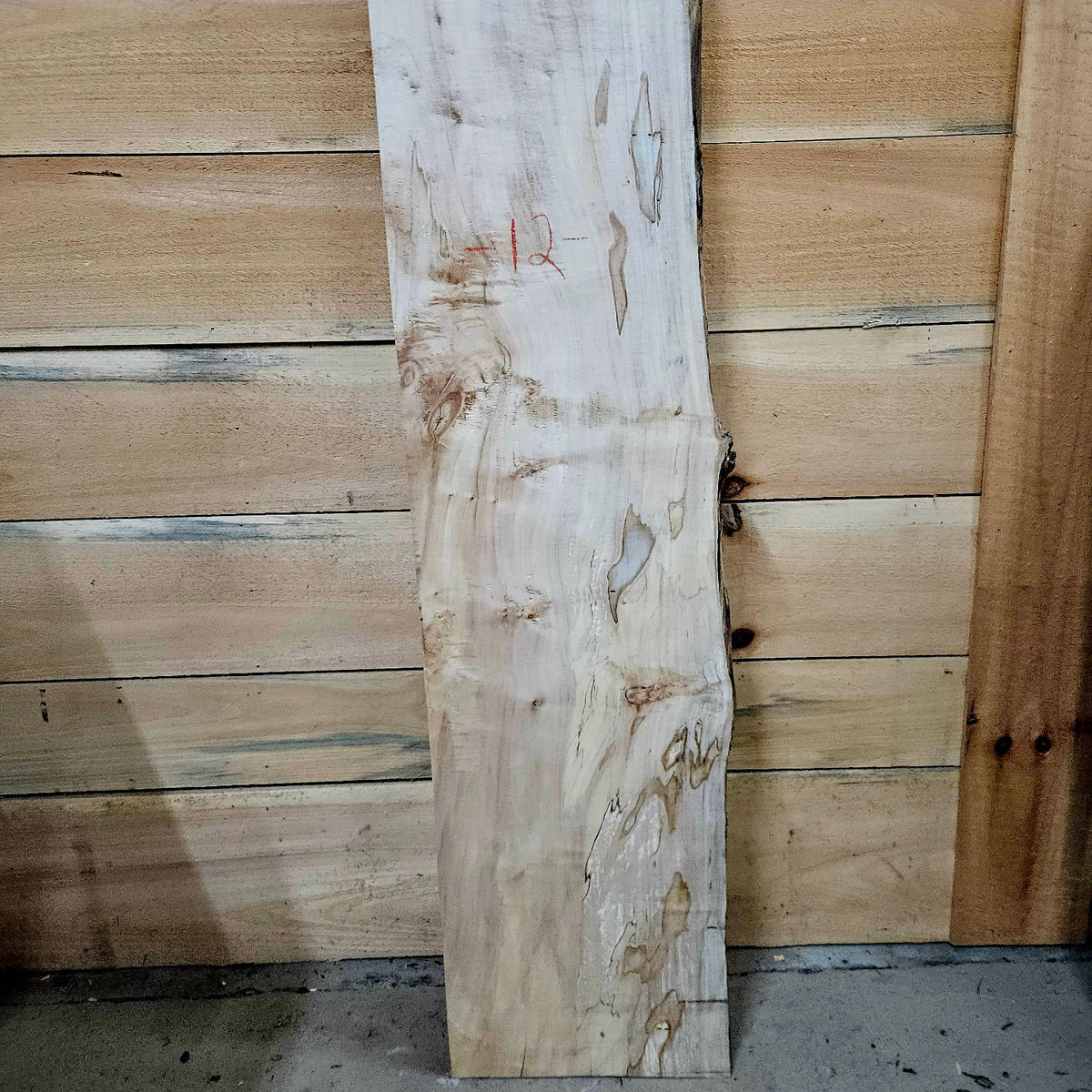 Spalted curly ambrosia maple slab 2055 photo 4