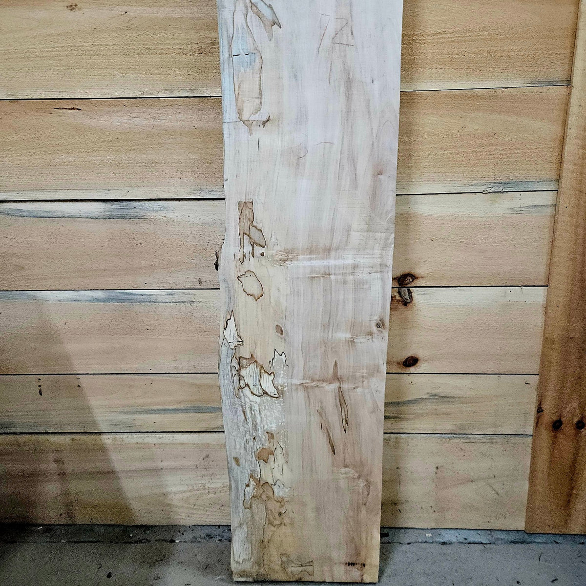 Spalted curly ambrosia maple slab 2055 photo 7