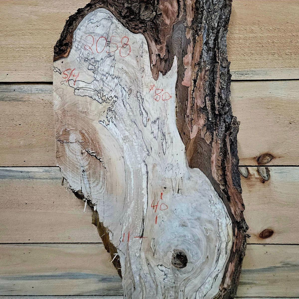 2058 spalted ambrosia maple slab front detail