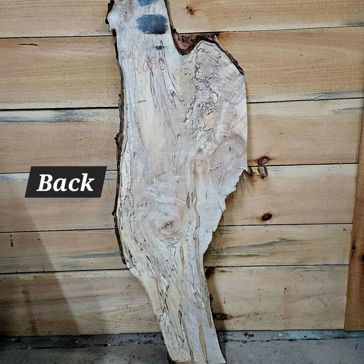 2058 spalted ambrosia maple slab back