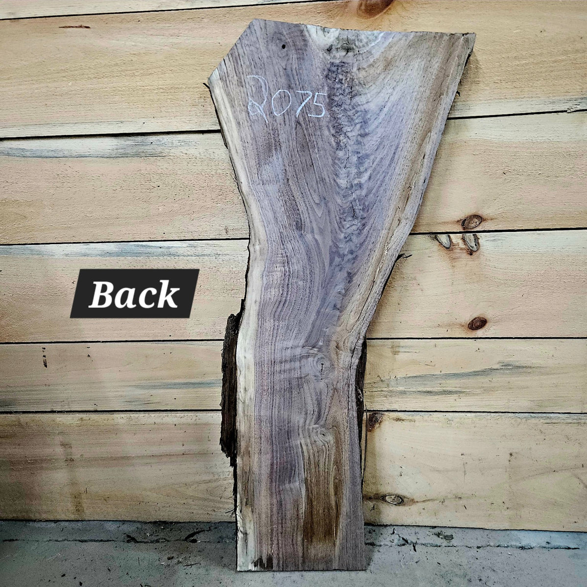 Walnut slab 2075 photo 4