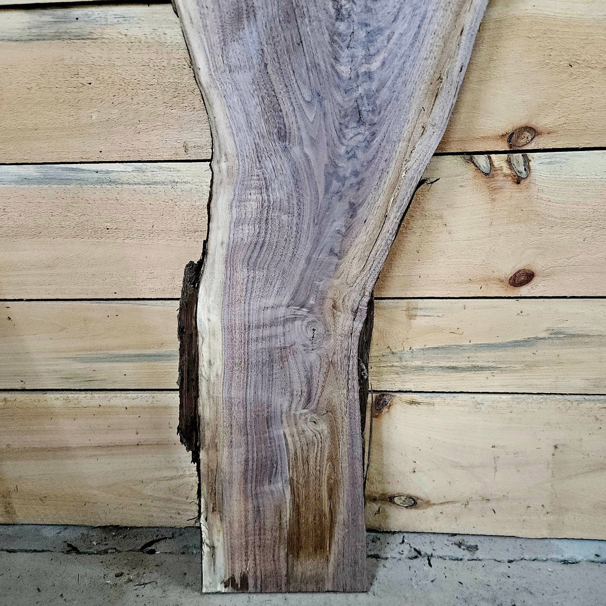 Walnut slab 2075 photo 6