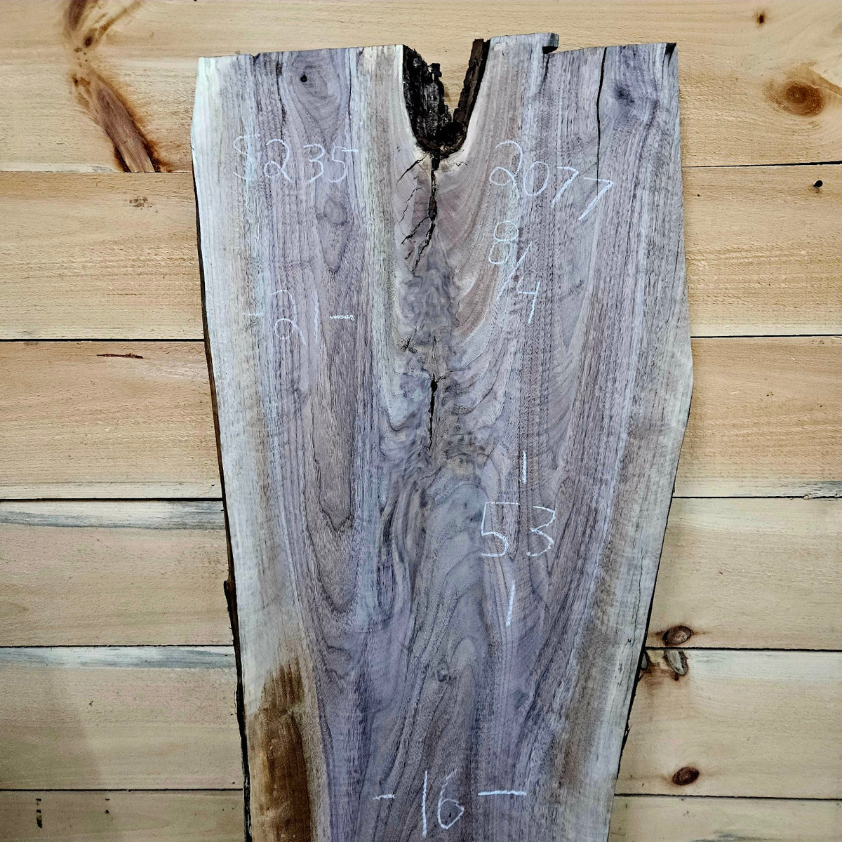 Walnut slab 2077 photo 2