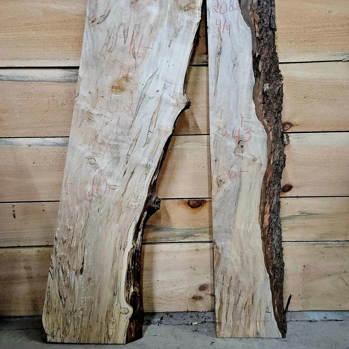 Curly ambrosia maple DIY bundle 2083 photo 3