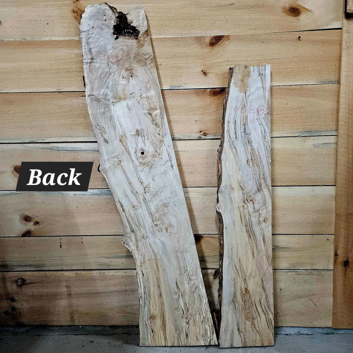 Curly ambrosia maple DIY bundle 2083 photo 4