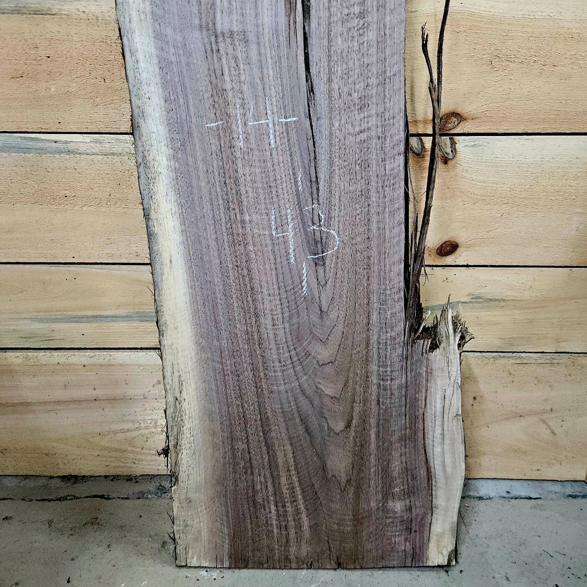 Walnut slab 2087 photo 3