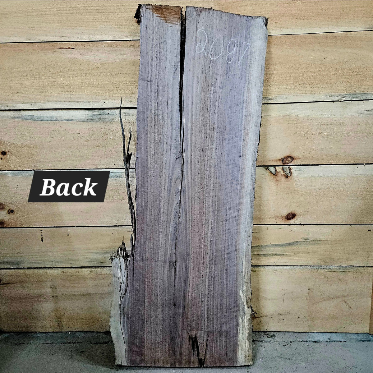Walnut slab 2087 photo 4