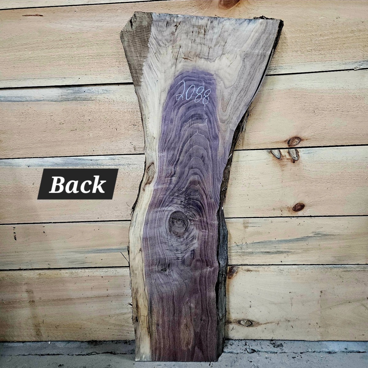Walnut slab 2088 back
