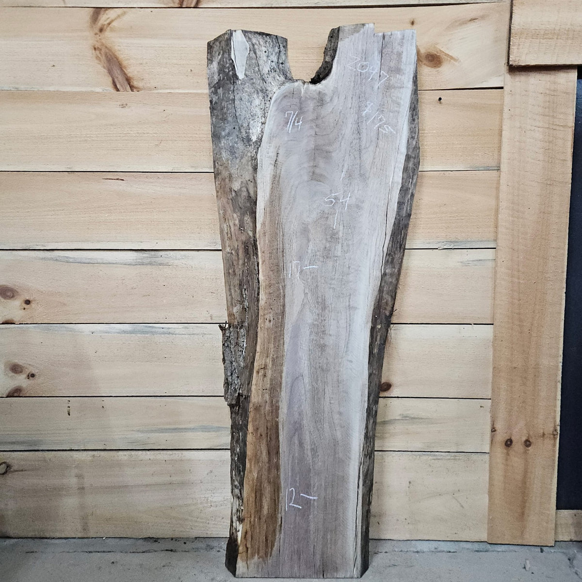 Walnut slab 2097 photo 1