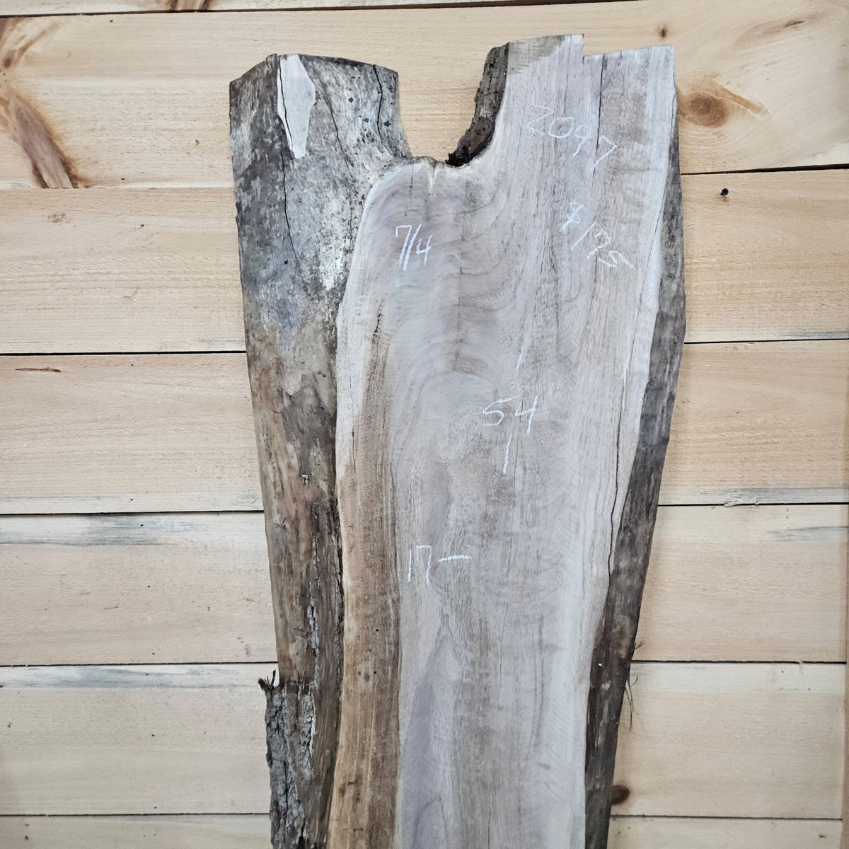 Walnut slab 2097 photo 2
