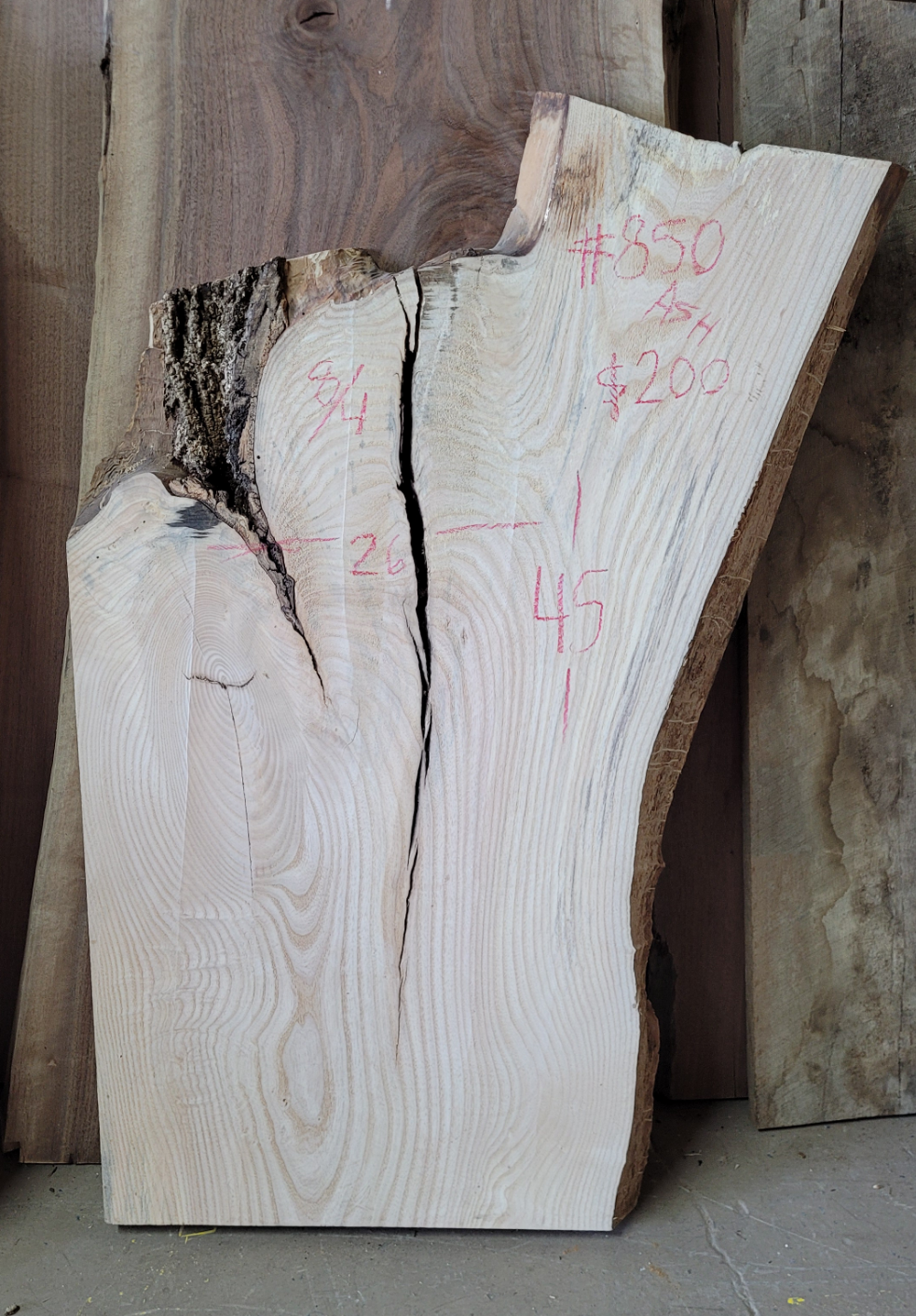 Ash live edge slab #850, view 1