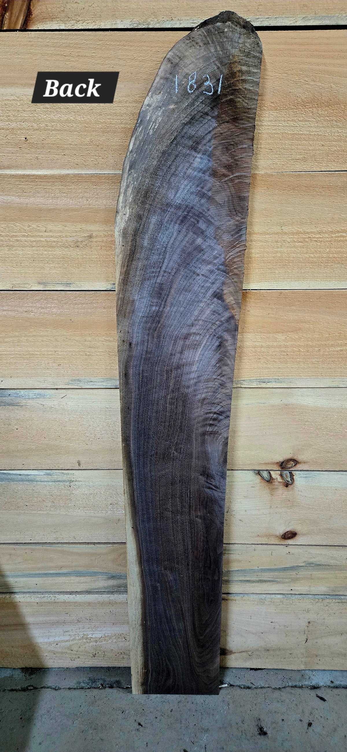 Walnut live edge slab #1831, view 2