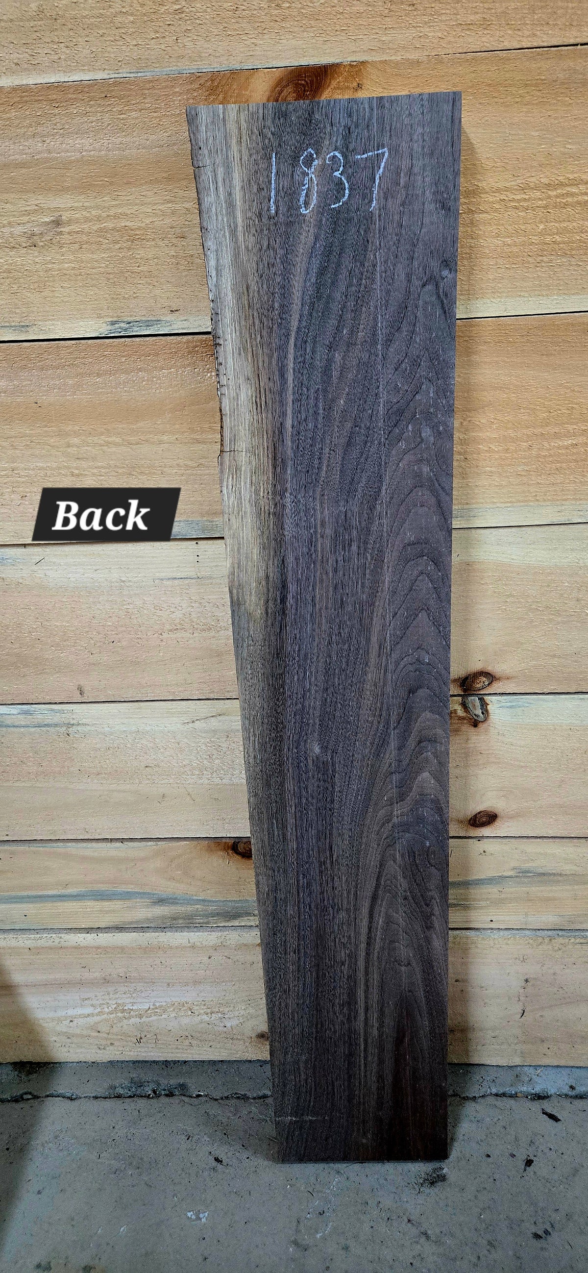 Walnut live edge slab #1837, view 2