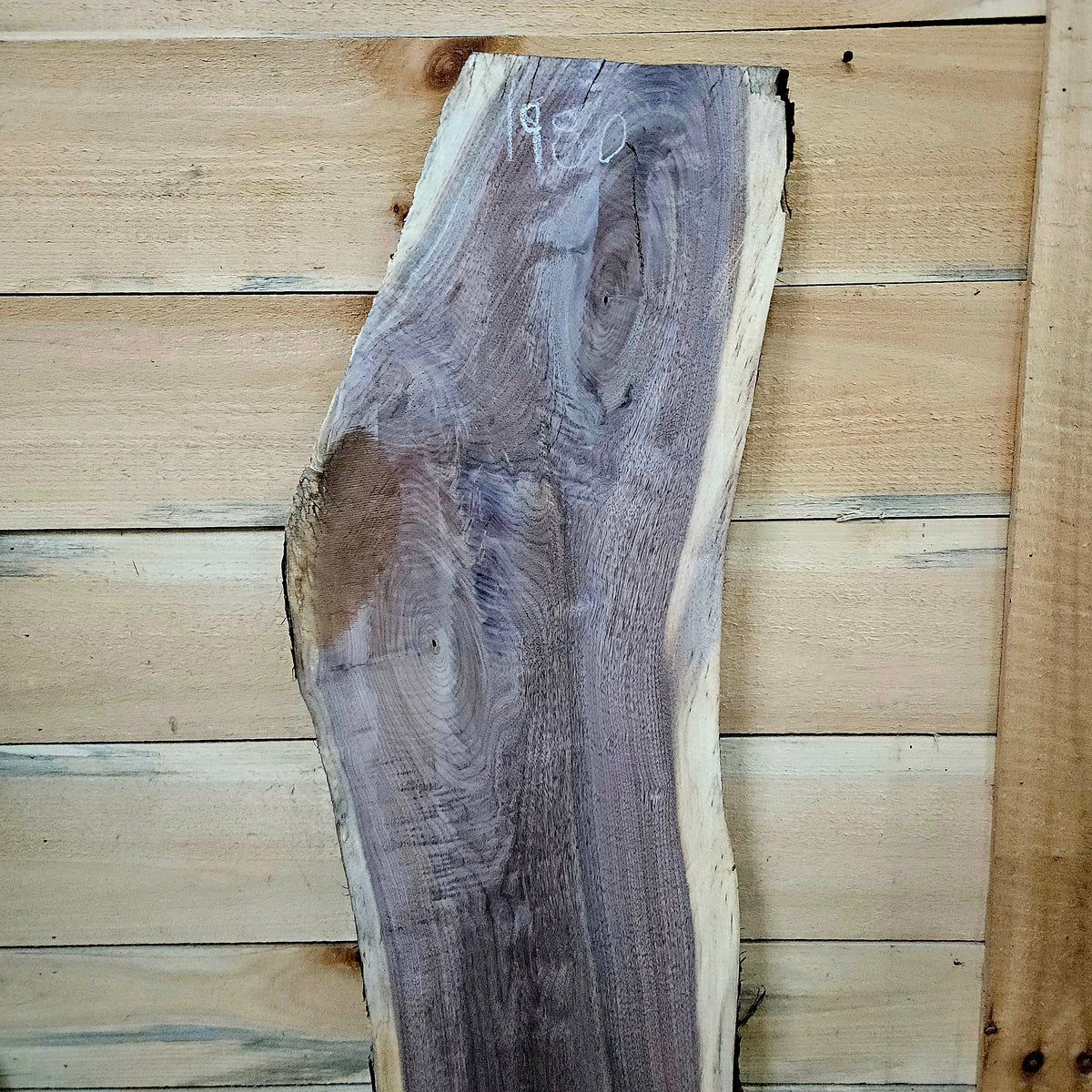 1980 Walnut Live Edge Slab – 47" × 8 - 11" × 8/4"