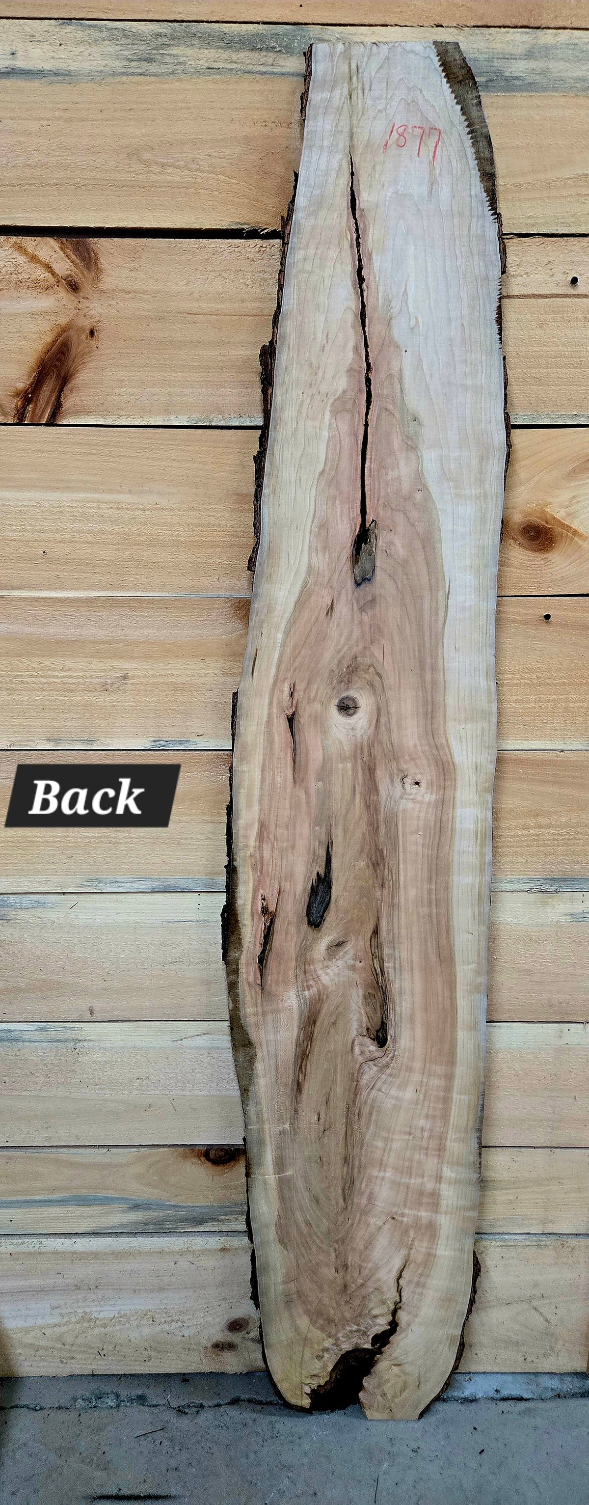 Curly Cherry live edge slab #1877, view 3