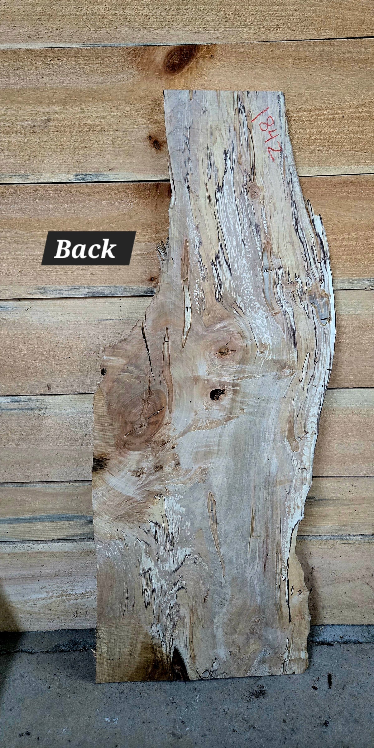Curly Spalted Ambrosia Maple live edge slab #1842, view 4