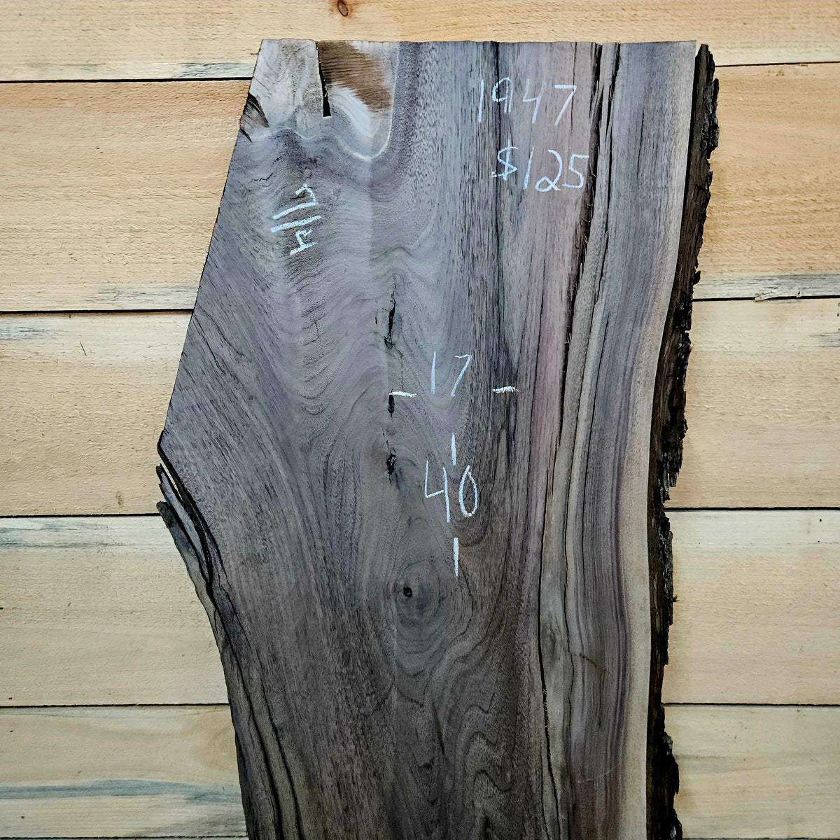1947 Walnut Live Edge Slab – 40" × 14 -17" × 7/4"