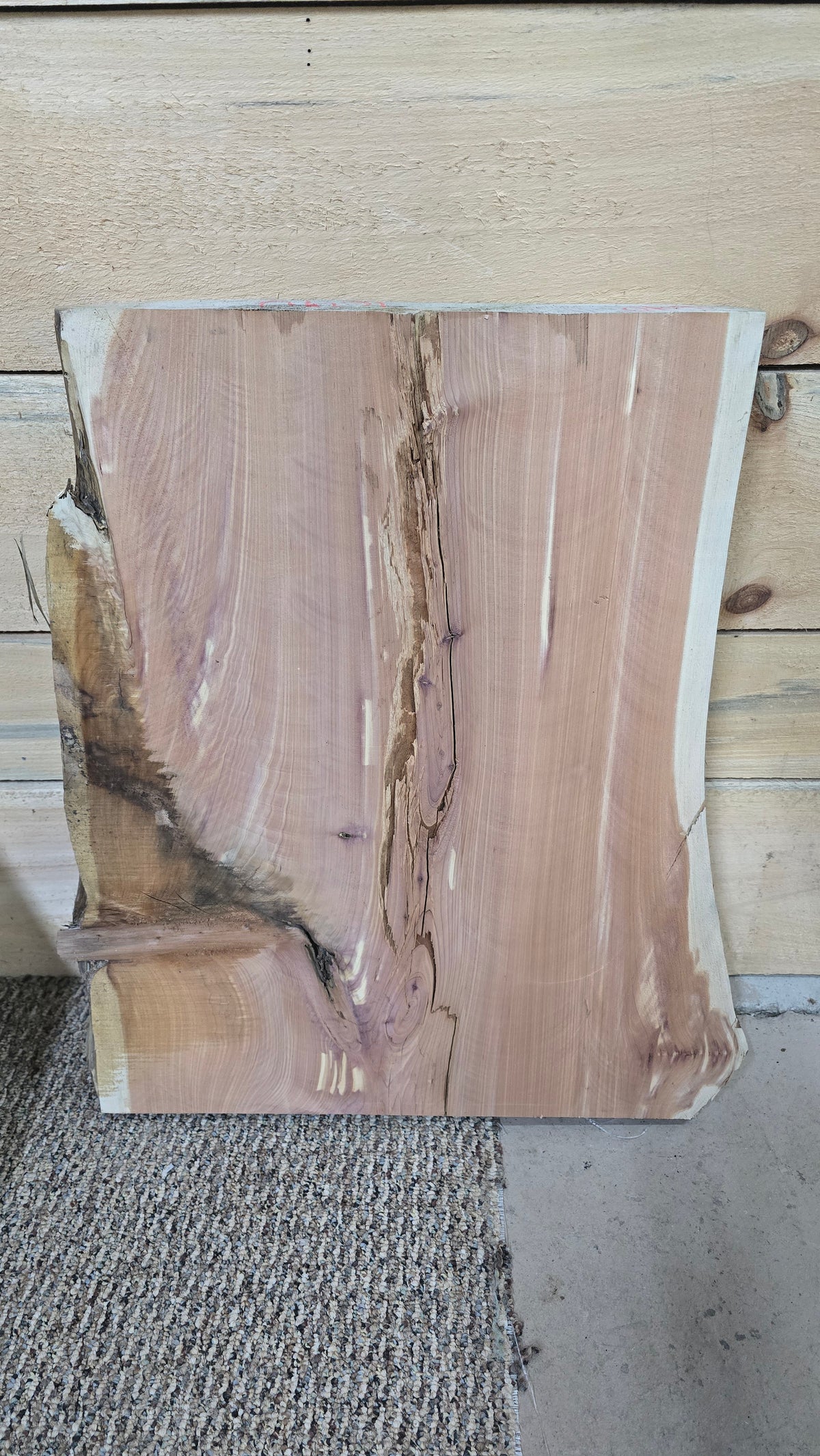 Cedar live edge slab #1640, view 2