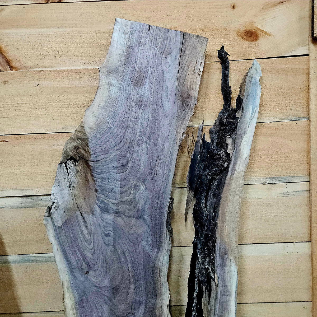 1982 Walnut Live Edge Slab – 52" × 7 - 13" × 7/4"