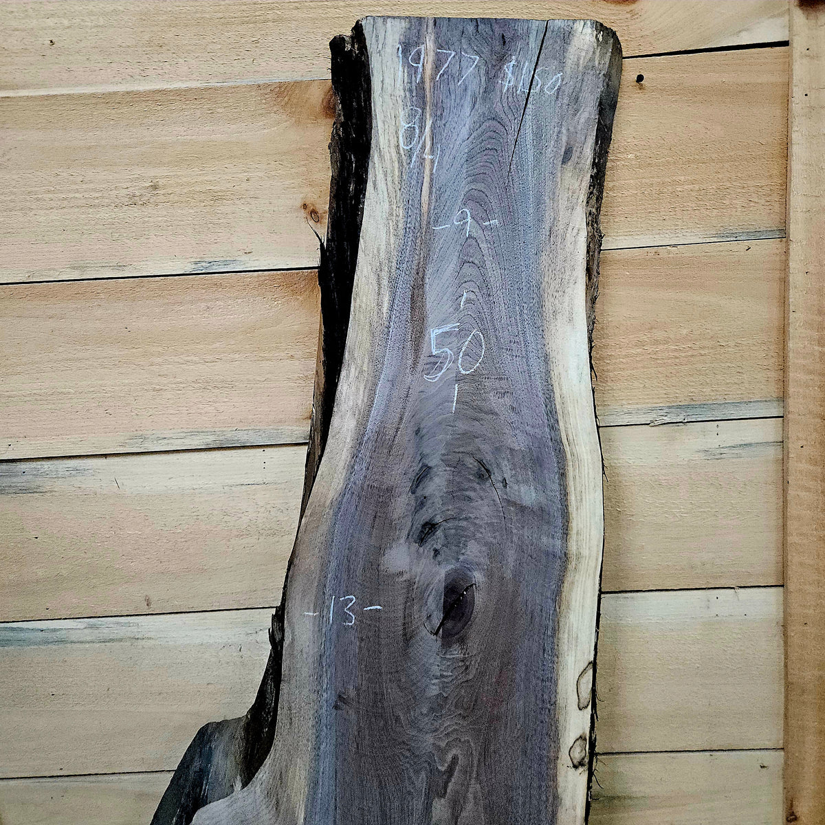 1977 Walnut Live Edge Slab – 50" × 9 - 21" × 8/4"
