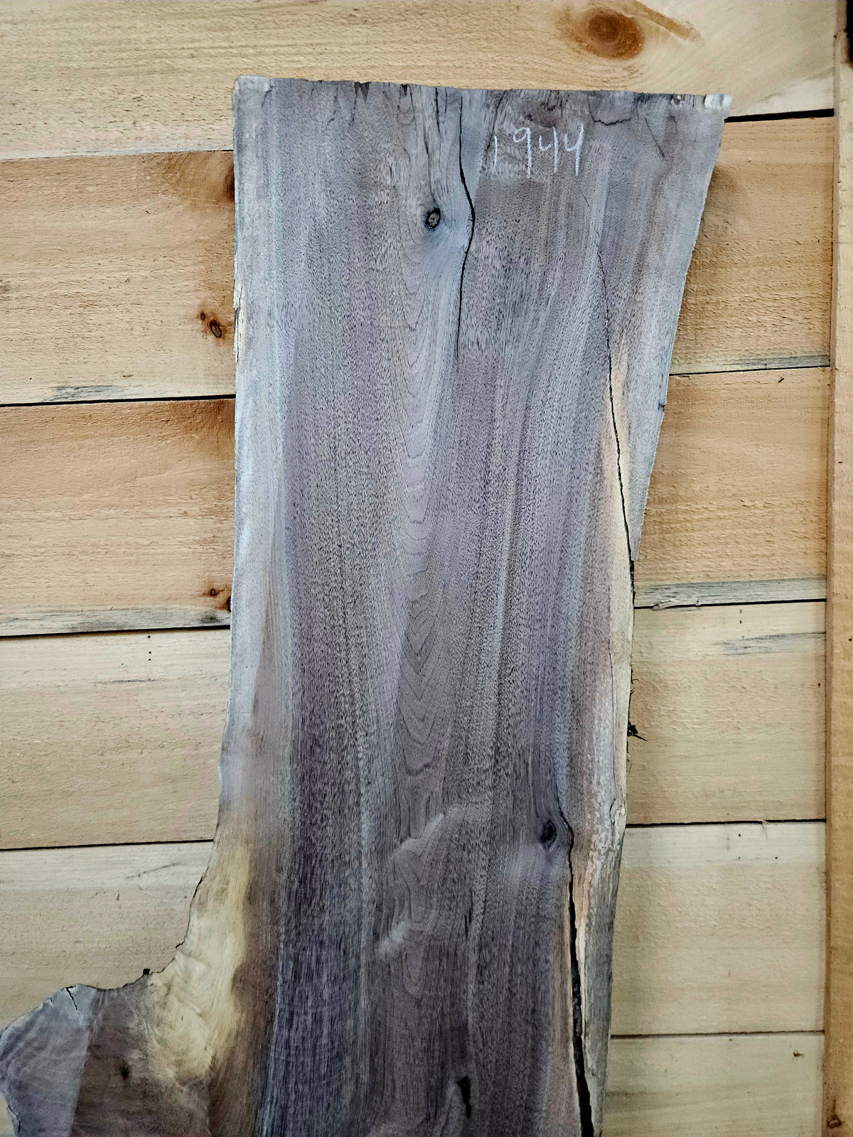 1944 Walnut Live Edge Slab – 49" × 10 - 16" × 7/4" – product image 5