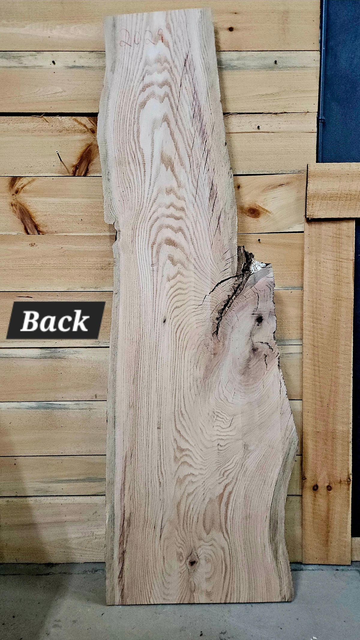 2029 Red Oak Live Edge Slab – 77" × 10–18" × 8/4"