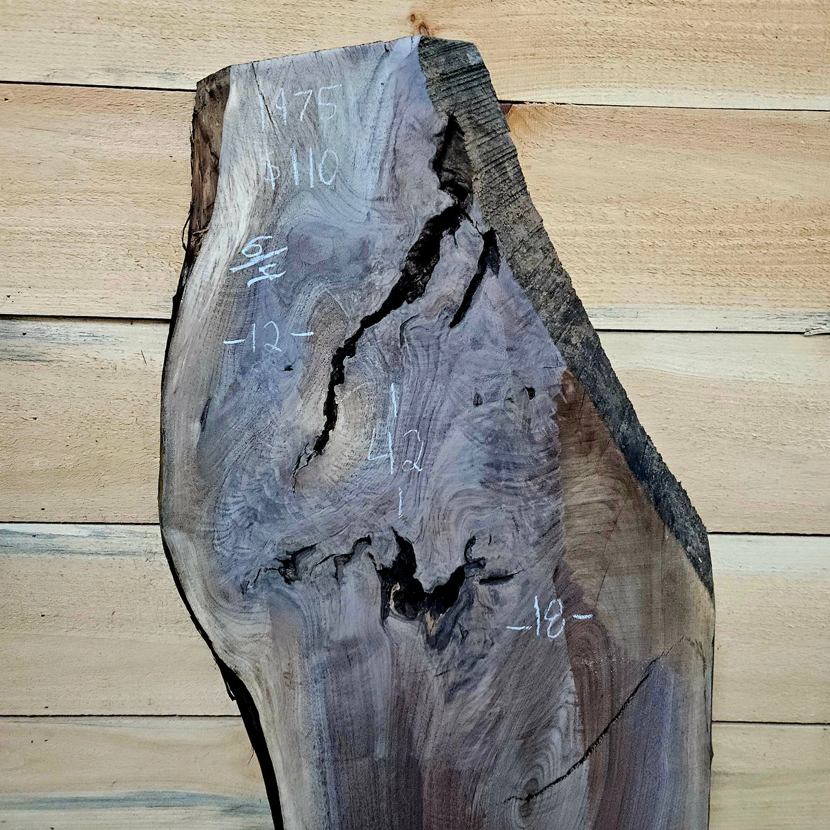 1975 Walnut Live Edge Slab – 42" × 12 - 18" × 6/4"