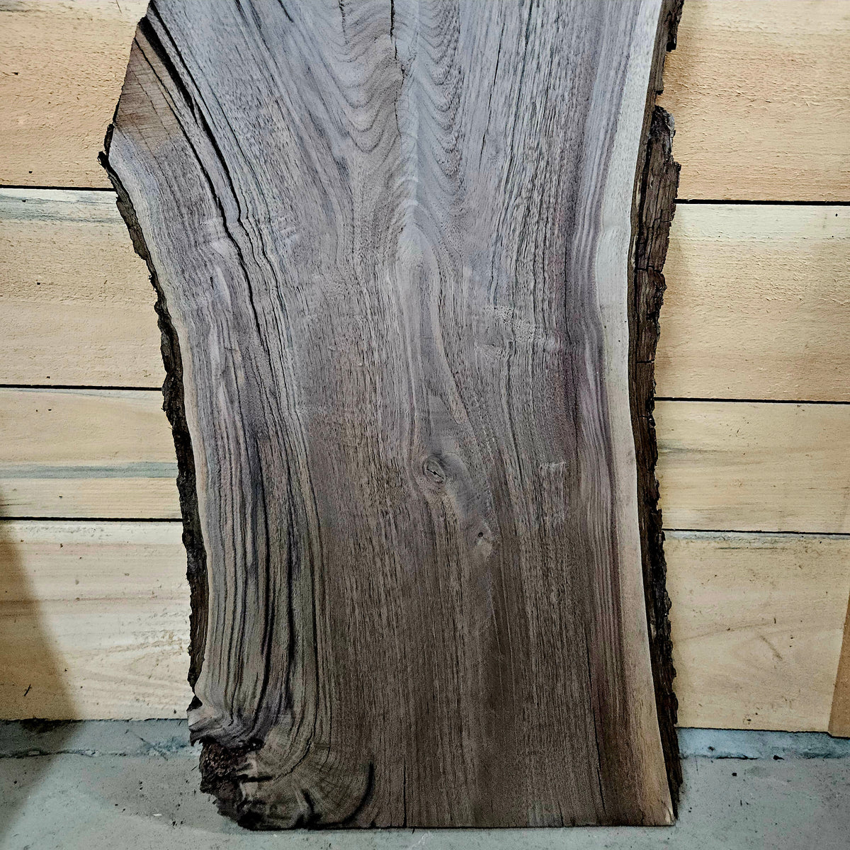 1951 Walnut Live Edge Slab – 40" × 14 - 17" × 7/4"