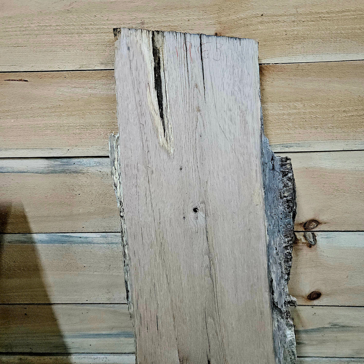 1963 White Oak Live Edge Slab – 43" × 12 - 13" × 8/4"