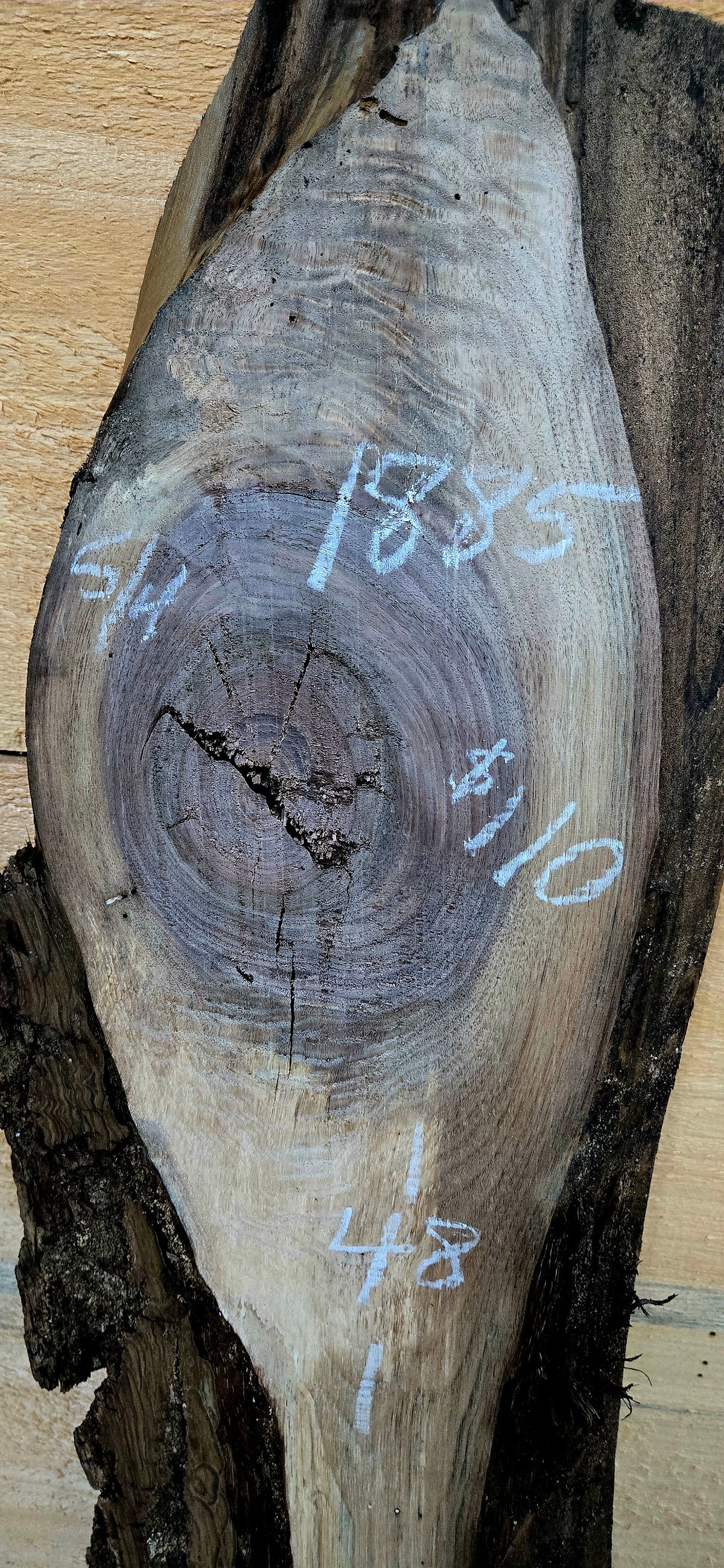 1885 Walnut 3-Piece DIY Wood Bundle, view 2