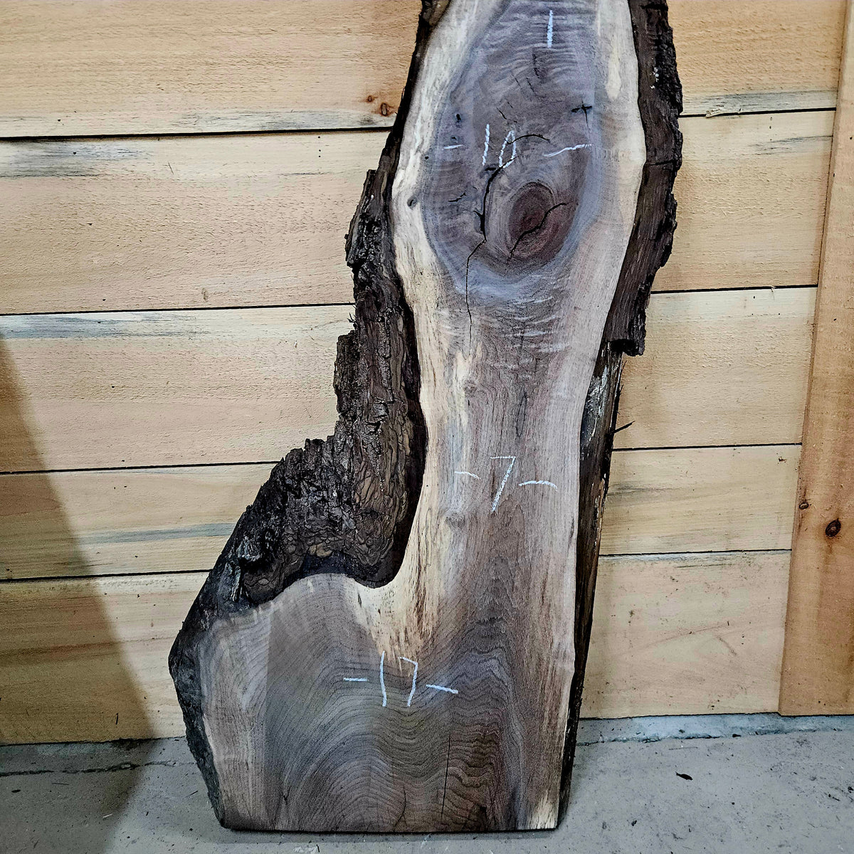 1978 Walnut Live Edge Slab – 50" × 7 - 17" × 6/4"