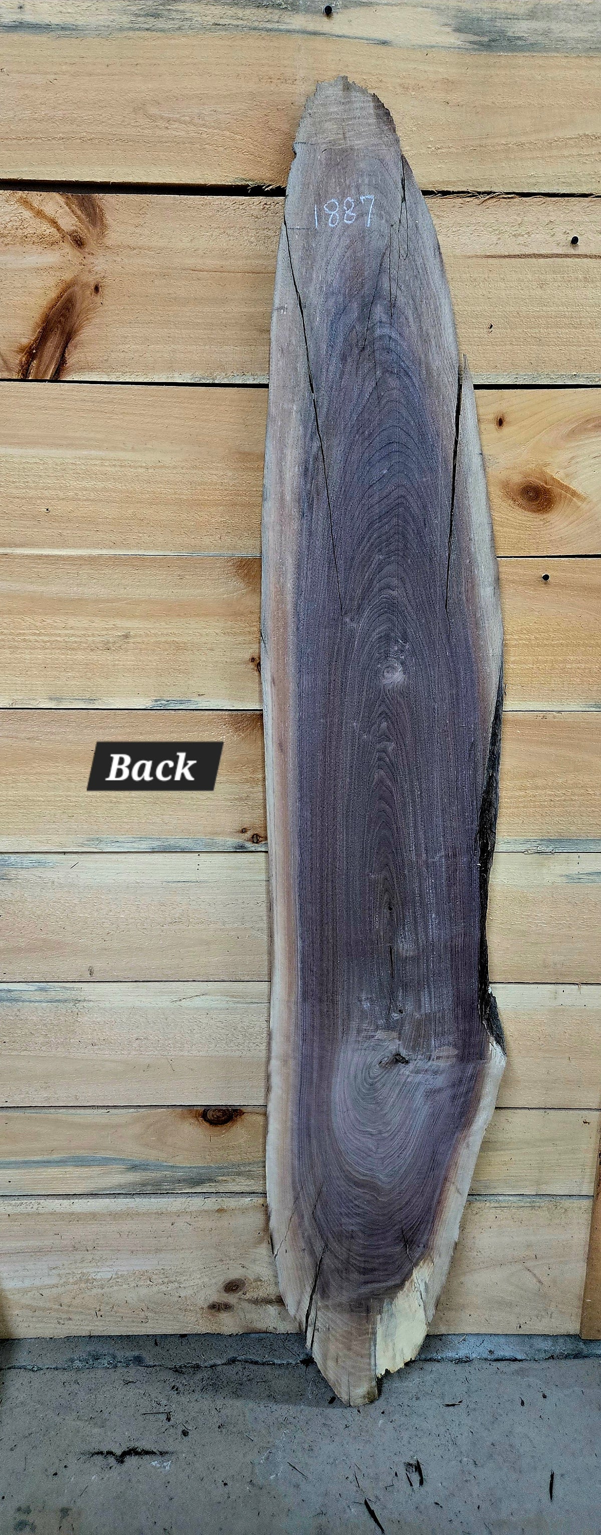 Walnut live edge slab #1887, view 3