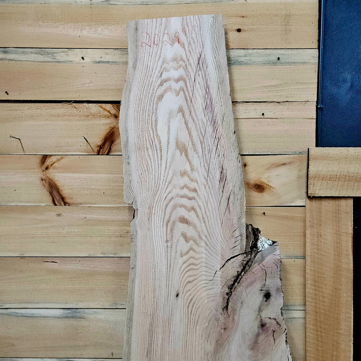2029 Red Oak Live Edge Slab – 77" × 10–18" × 8/4"