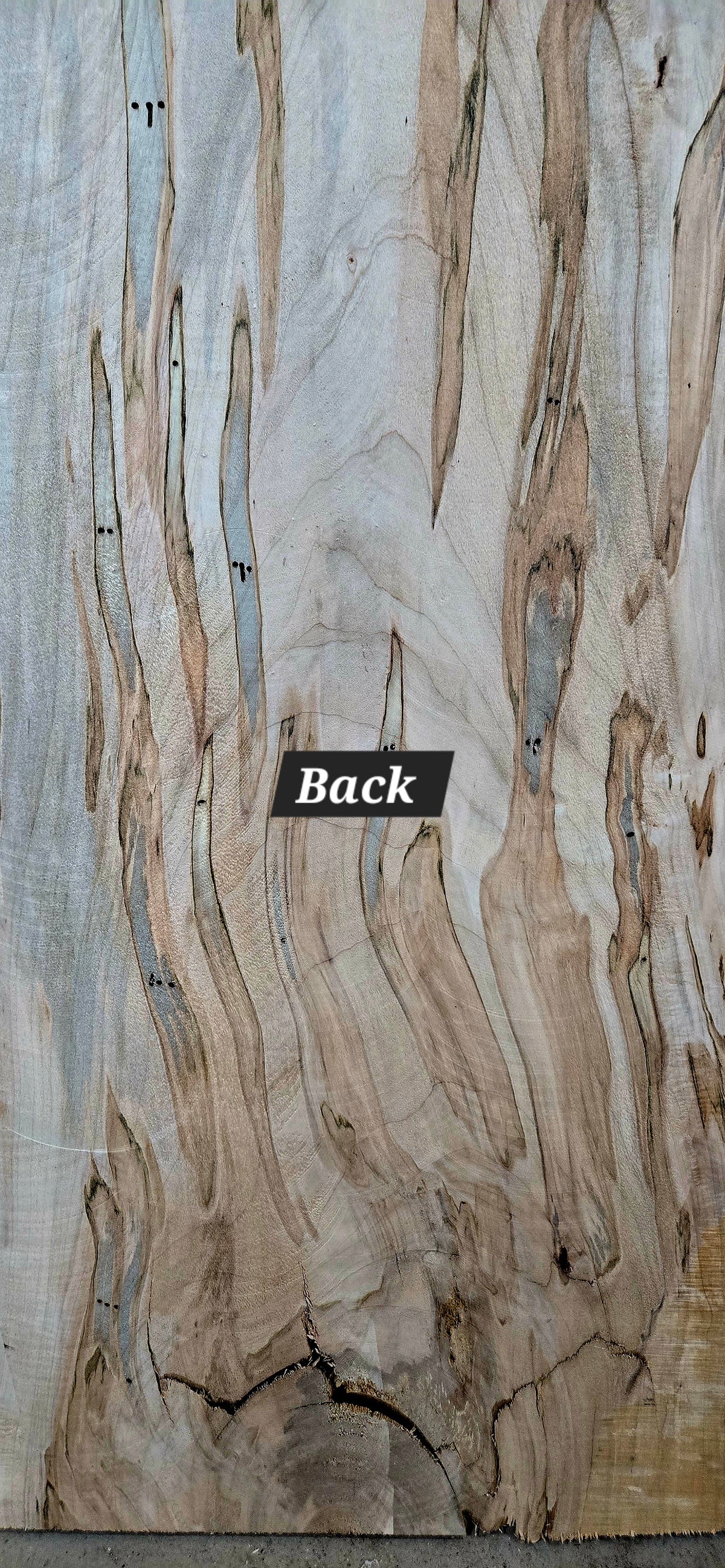 Curly Spalted Ambrosia Maple live edge slab #1841, view 4