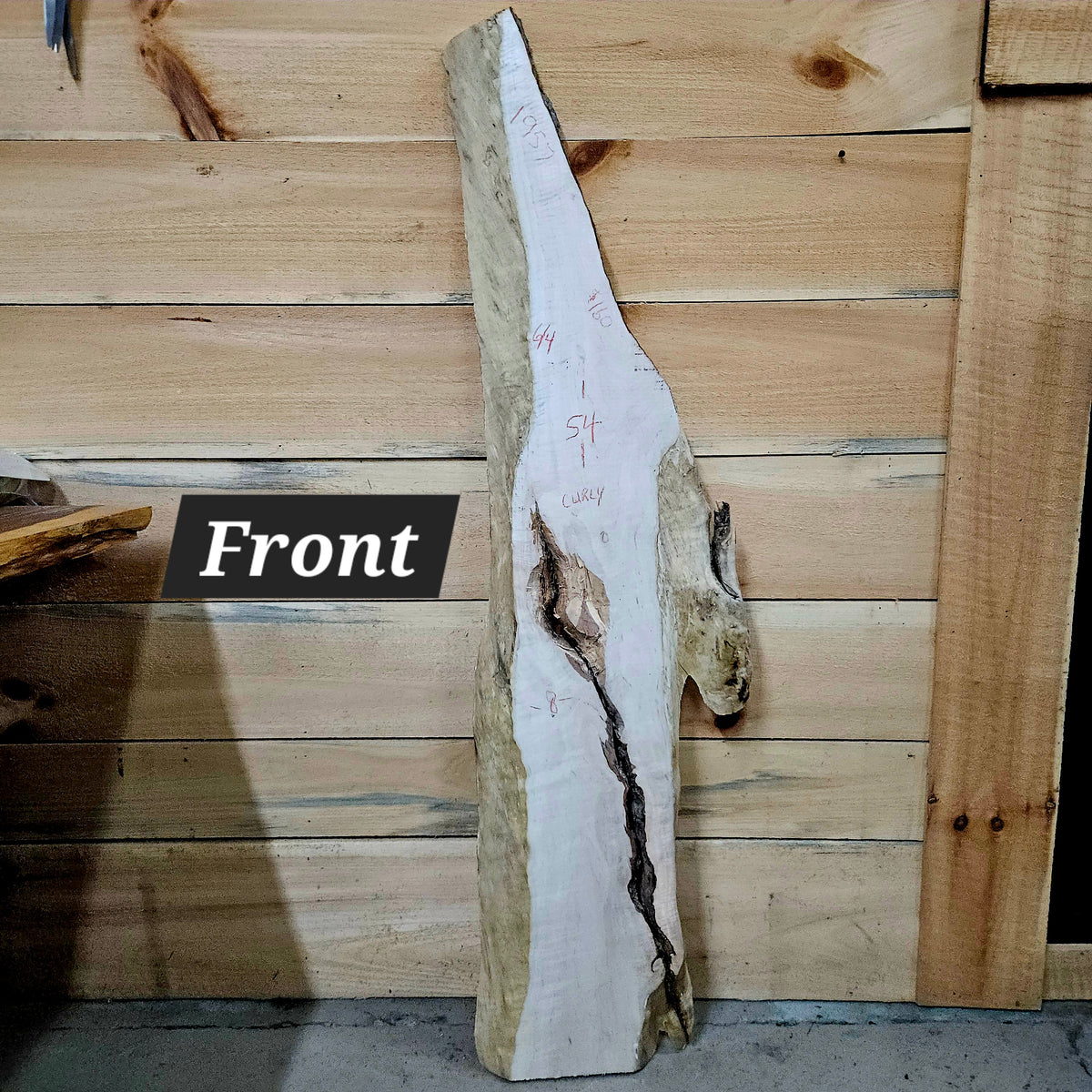 1957 Curly Maple Live Edge Slab – 54" x 8" × 6/4"