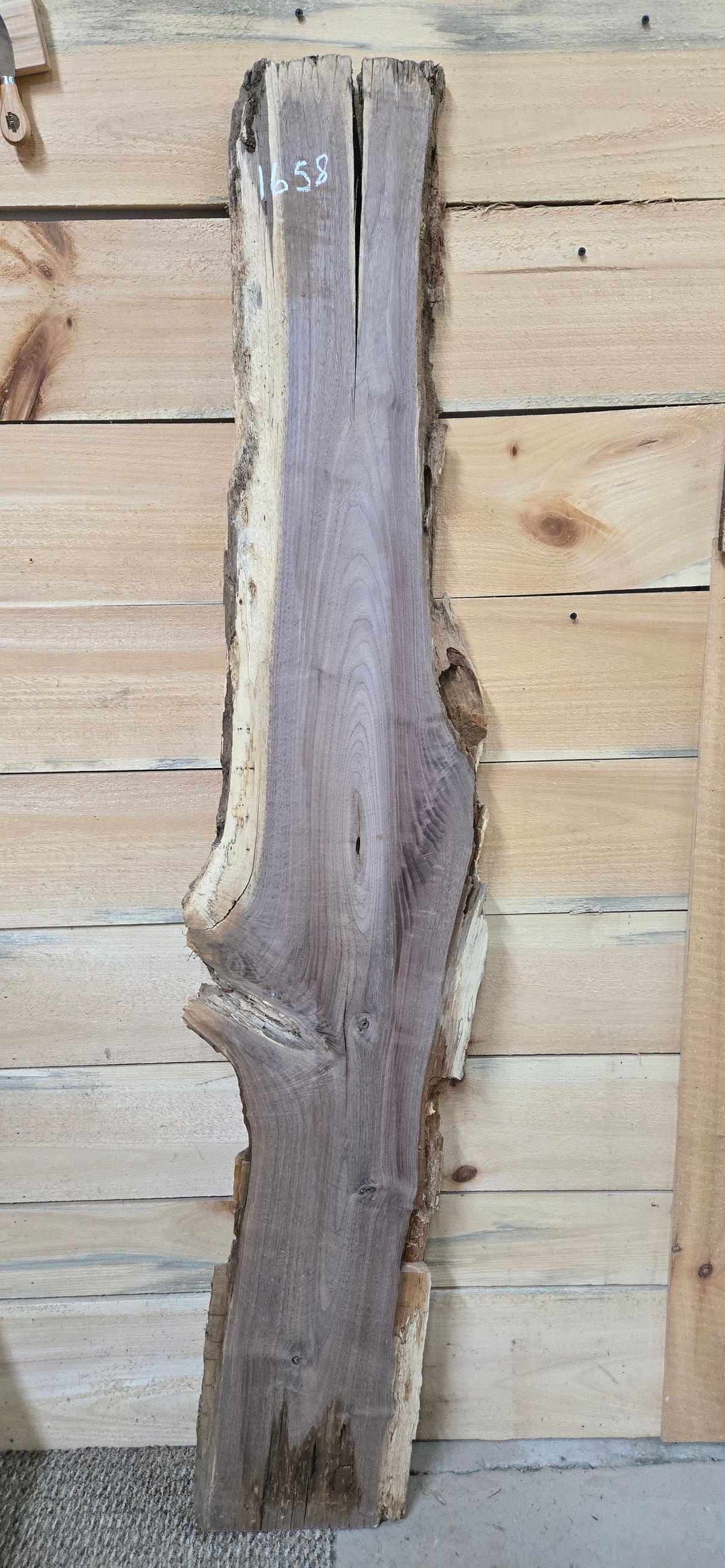 Walnut live edge slab #1658, view 2