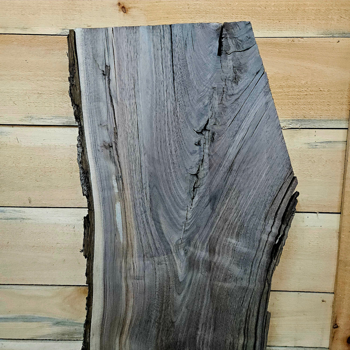 1947 Walnut Live Edge Slab – 40" × 14 -17" × 7/4"