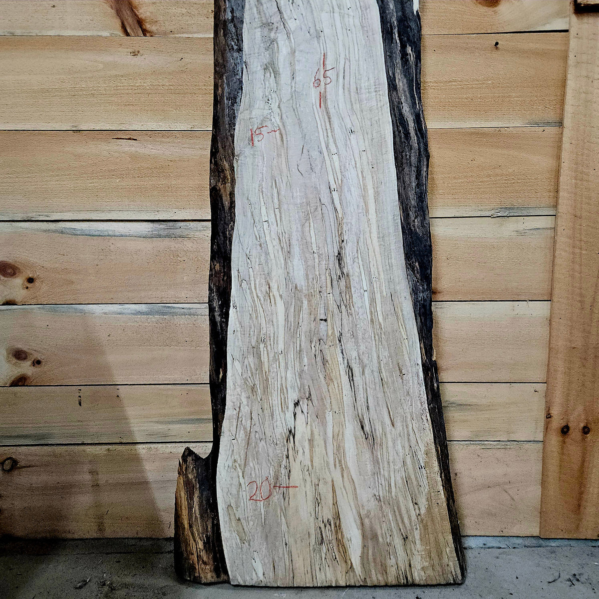 2012 Curly Spalted Ambrosia Maple Live Edge Slab – 65" × 15–20" × 9/4"