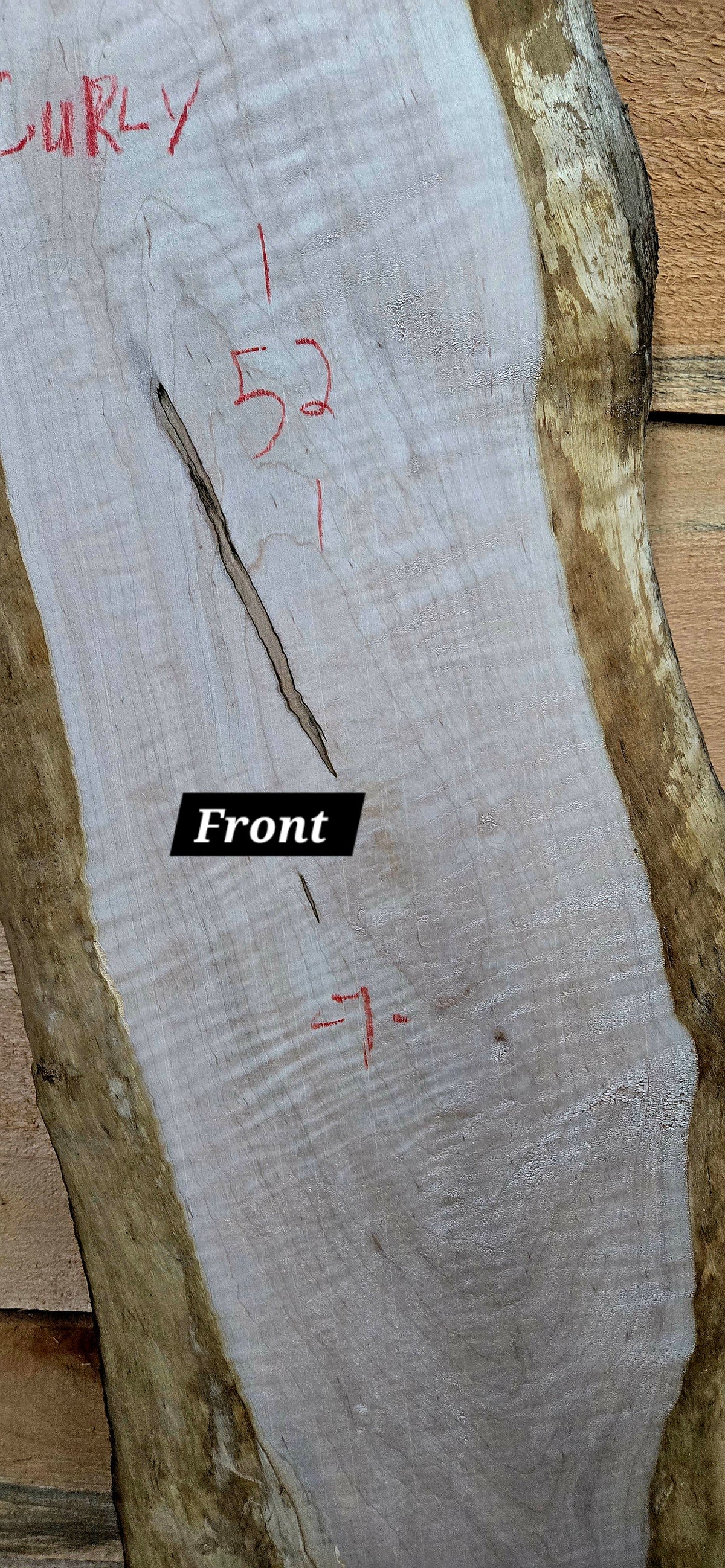 1966 Curly Maple Live Edge Slab – 52" x 5" - 7" × 6/4"