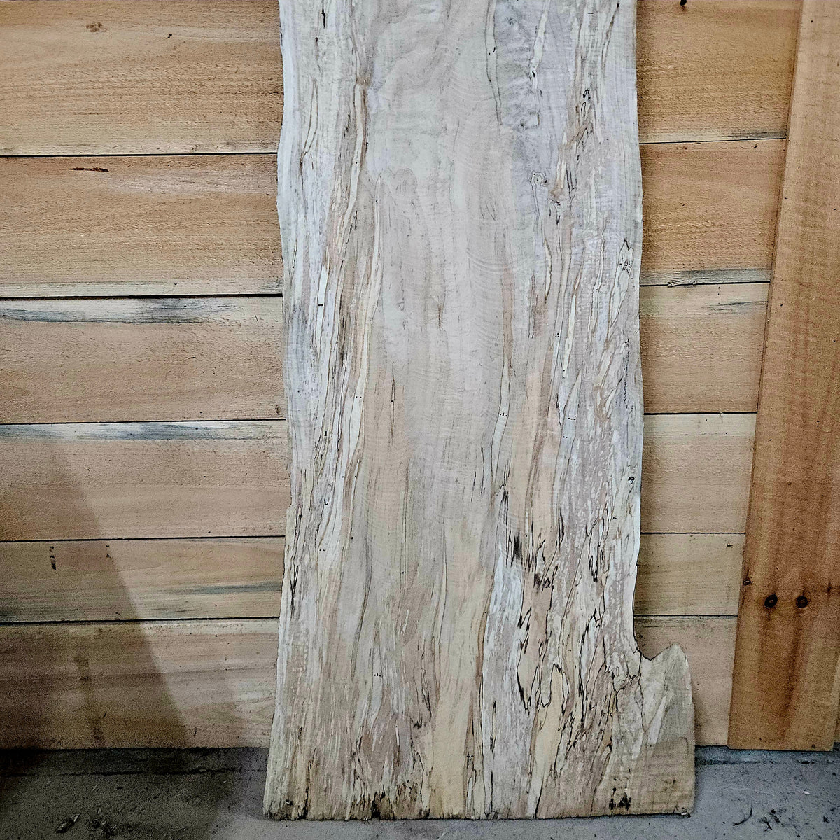 2012 Curly Spalted Ambrosia Maple Live Edge Slab – 65" × 15–20" × 9/4"