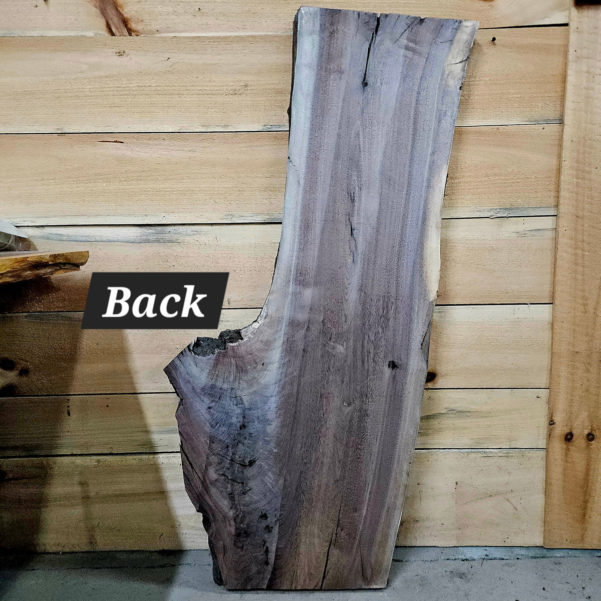 1956 Walnut Live Edge Slab – 49" × 13" - 23" × 7/4"
