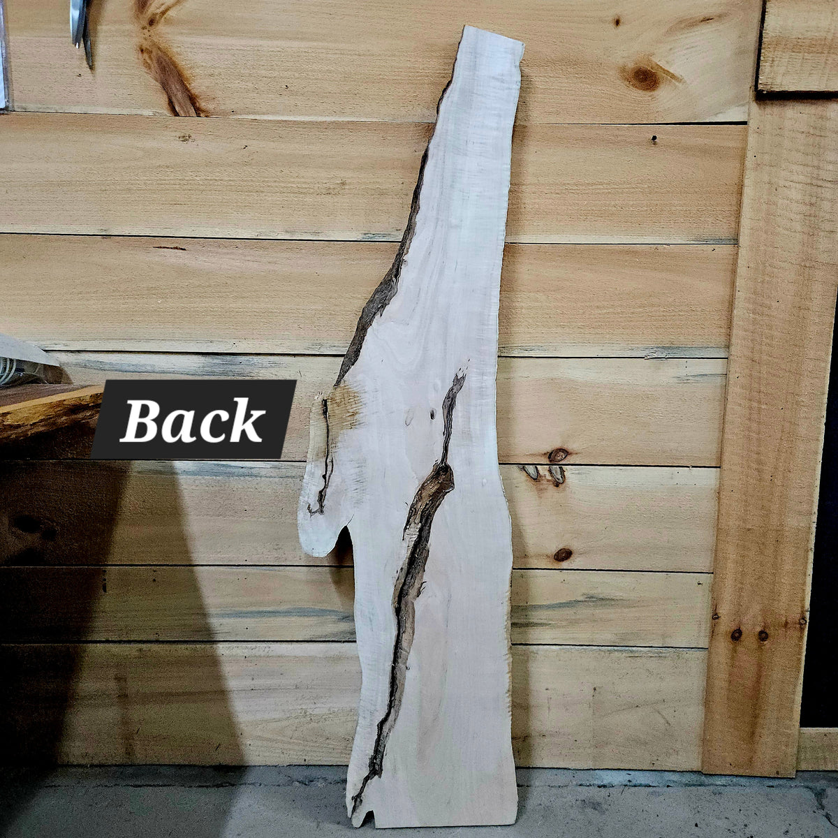 1957 Curly Maple Live Edge Slab – 54" x 8" × 6/4"