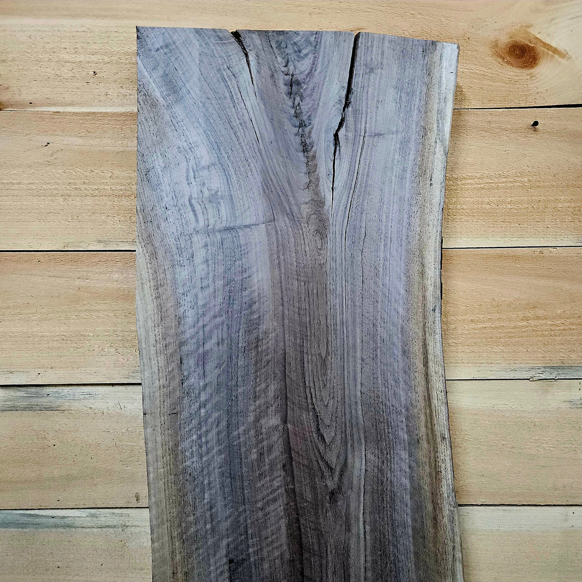 1953 Walnut Live Edge Slab – 52" × 15" × 8/4"