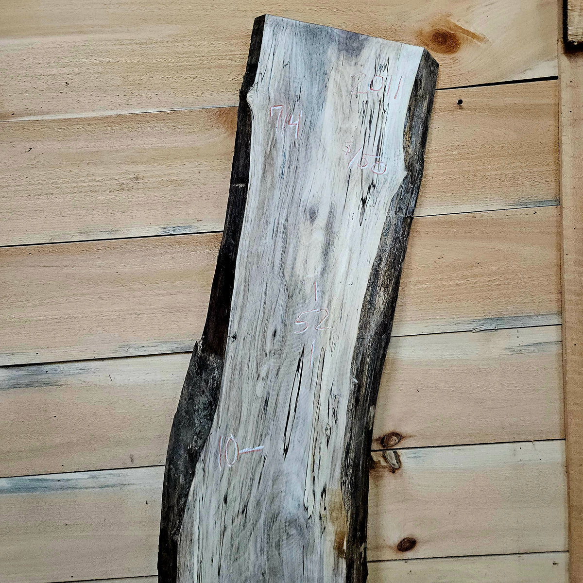 2011 Walnut Live Edge Slab – 52" × 10" × 7/4"